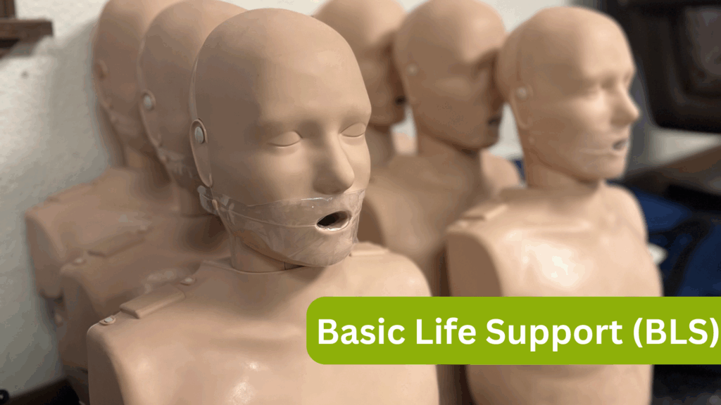 bls, basic life support