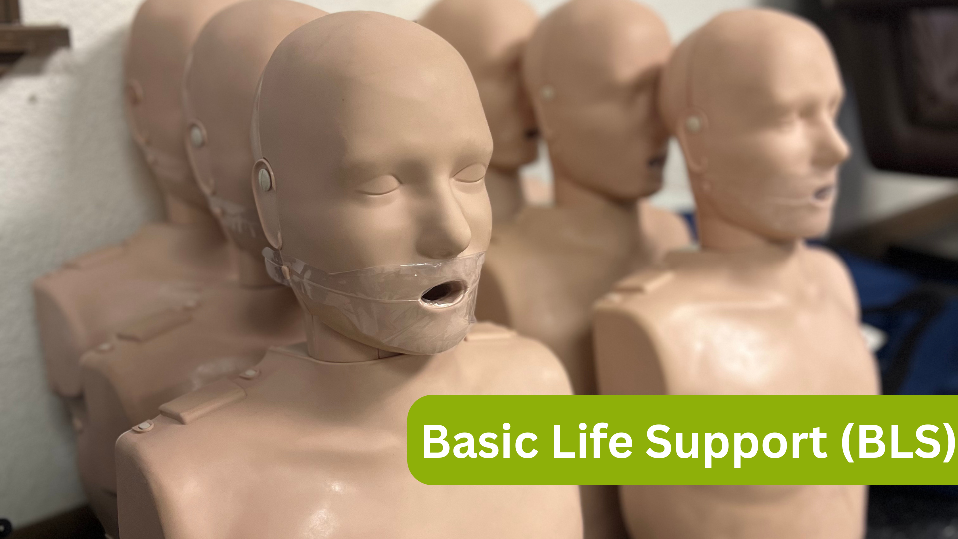 bls, basic life support